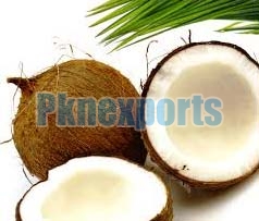 Coconut