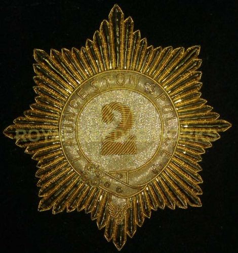 Cotton Printed Guards Blazer Badges, Technics : Machine Made