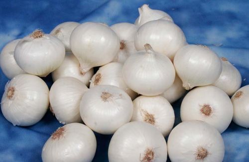 Common Fresh White Onion, Size : Large, Medium, Small
