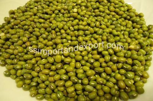 Green Mung Bean