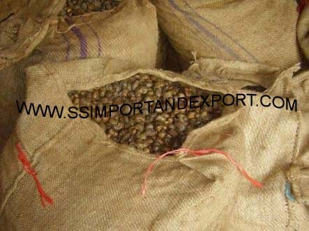 Imported Cashew Nuts