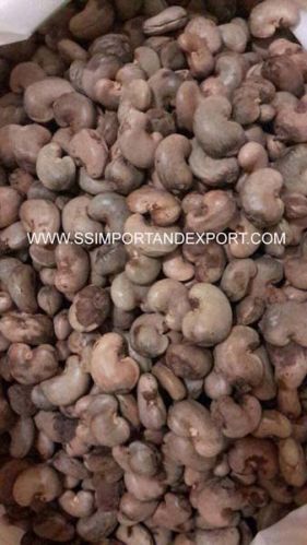 Imported Raw Cashew Nuts In Shell