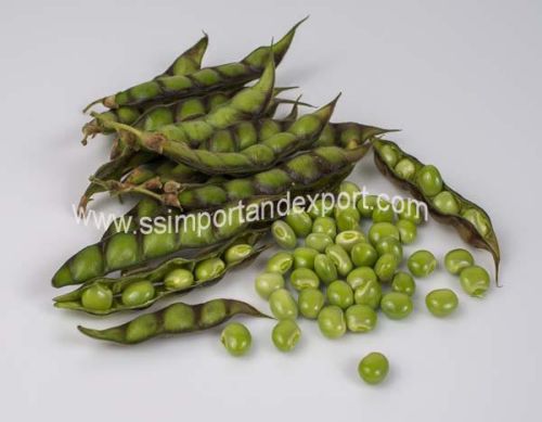 Pigeon Pea Seeds