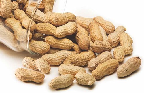 Shelled Groundnuts