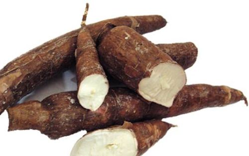 Fresh Cassava