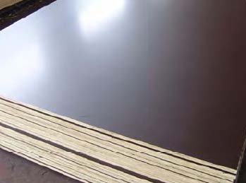 National Doors Shuttering Plywood