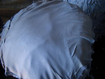 Wet Blue Sheep Skins