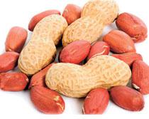 Ground Nuts