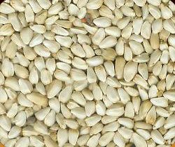 Safflower Seeds Are The Seeds