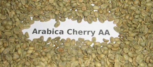 Arabica Cherry Coffee Beans, Packaging Type : 60 Kgs