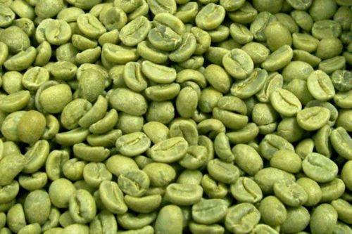 Green Coffee Beans, Packaging Type : 60kgs