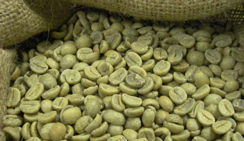 Plantation Coffee Beans, Packaging Type : 60kgs Nett