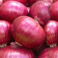 Fresh red onion, Shape : Round