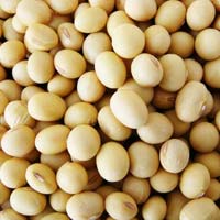 Soya Beans