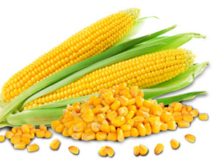 IQF Sweet Corn