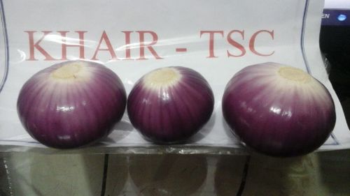 Onion, Packaging Type : up to the client