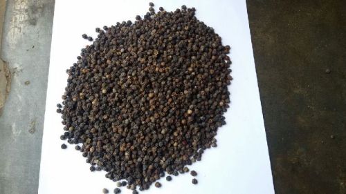 Black Pepper