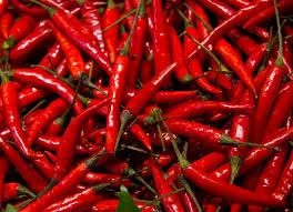 Fresh Red Chilli