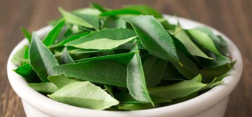 Organic Curry Leaves, Features : Eco-friendly, Longer Shelf Life