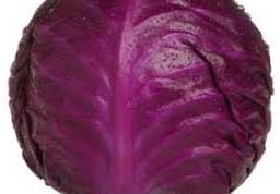 Fresh Red Cabbage