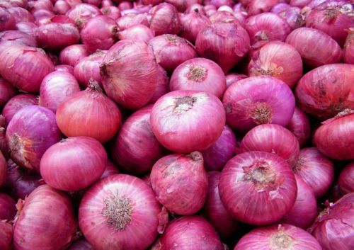 Fresh red onion For Cooking