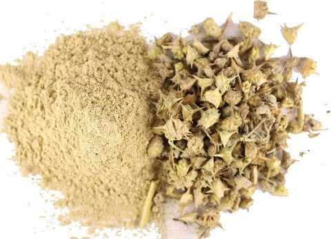 Tribulus Terrestris Powder