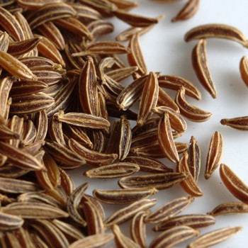 Caraway Seeds Oil, Carum Carvi