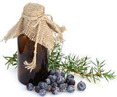 Juniper Berry Essential Oil Co2 Extract, Capacity : 1000 Kgs