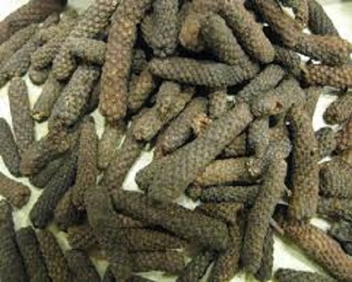 Long Pepper Oil, Piper Longum