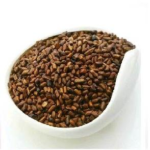 Cassia Absus, Color : Brown