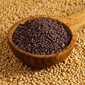 Mustard Seeds, Color : Brown