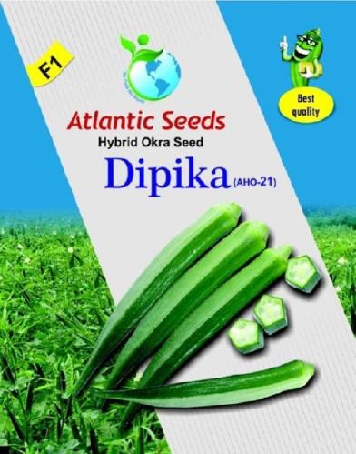 Organic Dipika Hybrid Okra Seeds, For Animal Feed, Human Consumption, Style : Dried
