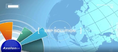 ERP Business Management Software Service