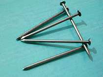 Common Round Head Iron Nail, Brand Name : BINGA