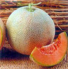 Fresh Muskmelon