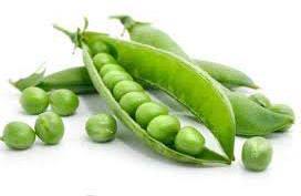 Organic Fresh Green Peas, Packaging Type : Jute Bags, Plastic Packets