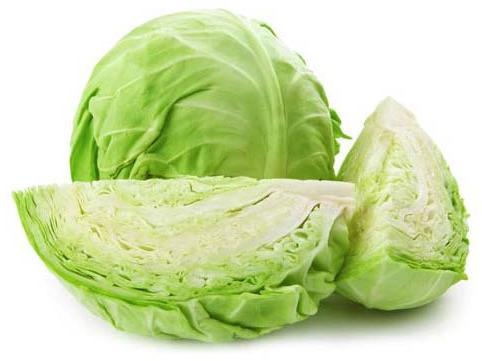 Fresh Cabbage