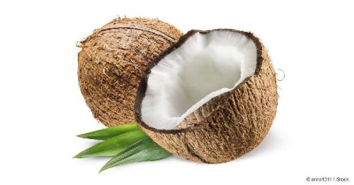 Coconut