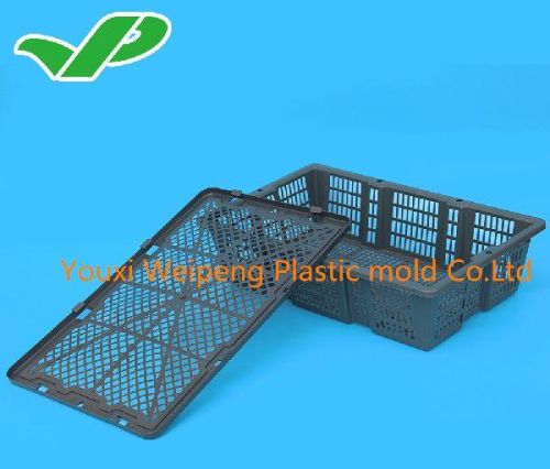 Pp Abalone Plastic Basket Cage, Brand Name : WP