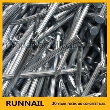 Steel Straight Concrete Nails, Packaging Type : zinc plated