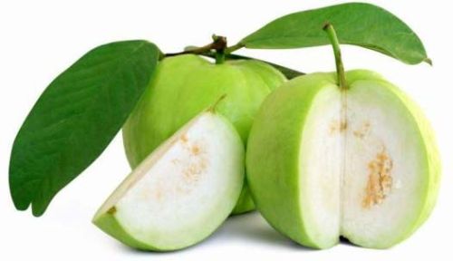 Fresh guava, Usage : Sweet