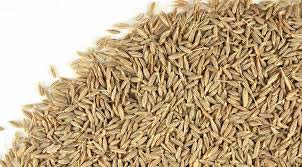 Cumin Seeds