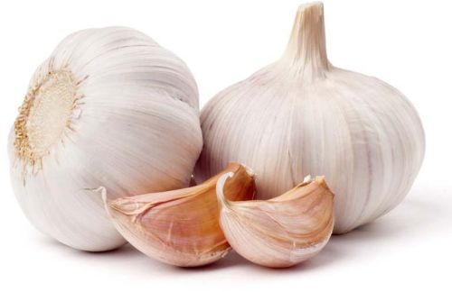 Fresh garlic, Application : Snacks, Fast Food, Cooking