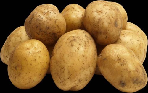Fresh potato, Packaging Size : 5-25kg