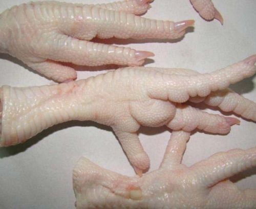 Frozen chicken feet, Packaging Type : Box, Carton, Plastic Bags