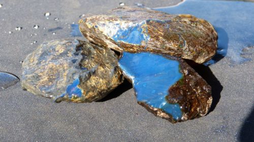 Raw Amber Stones, Packaging Type : Blue, brown, Green