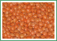 Natural Red Lentil, For Cooking, Feature : Easy To Cook, Healthy To Eat