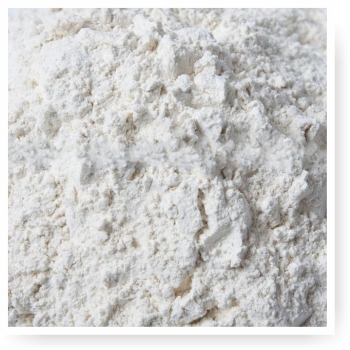 Dehydrated White Onion Powder