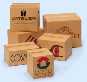 Kraft Paper Printed Carton Box, For Food Packaging, Goods Packaging, Medicine Packaging, Size : 12x12x6inch