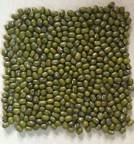 Mung Beans, Packaging Type : 50